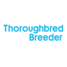 Thoroughbred Breeder Package